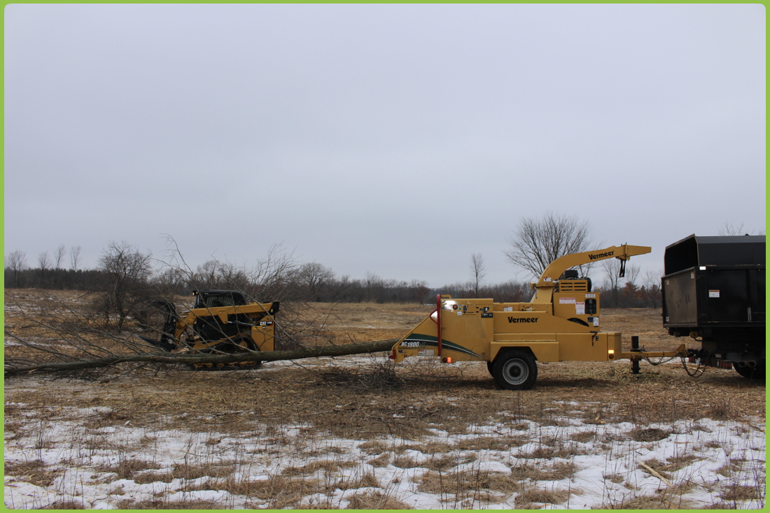 Whole Tree Chipping